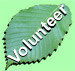 Volunteer